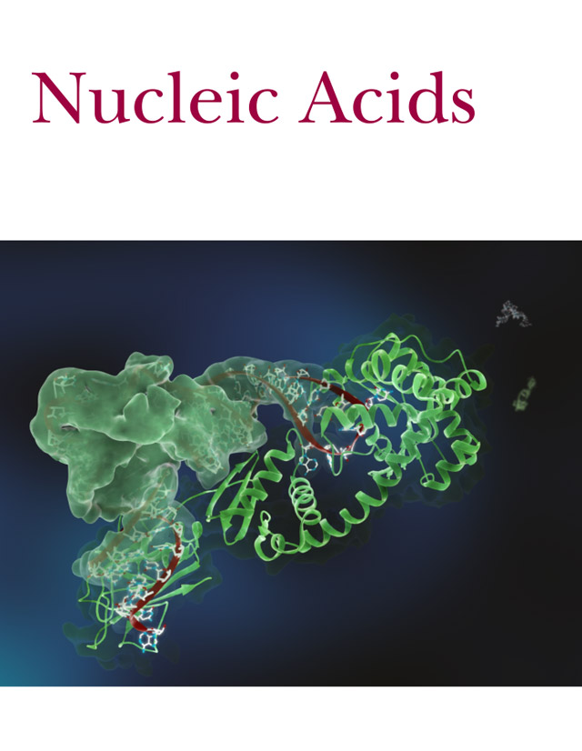 3dciencia tRNA synthetase. Nucleic Acids