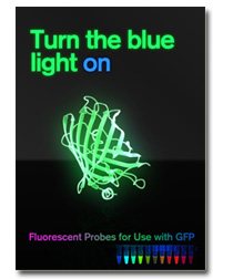 fluorescent probes gfp dye