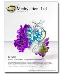 methylation 