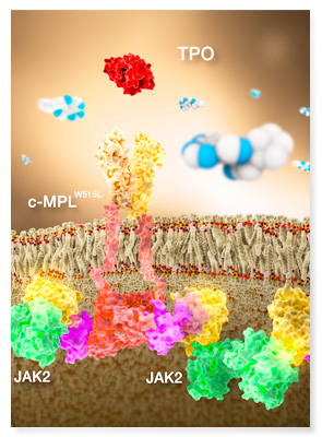 tpo jak2 jak1 inhibitor anticancer drug illustration